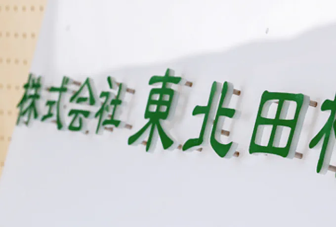 乳白